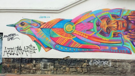 PSA on the dangers of putting your head inside a rainbow bird's arsehole