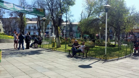 Dave and Alex and a tour group; Fay and Fish conveniently posing so I can take the photo.