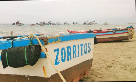 Zorritos boats are the CUTEST