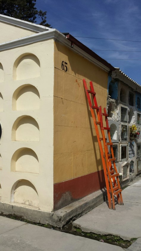 See how this is street number 65?