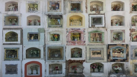 So beautiful in a really creepy way.