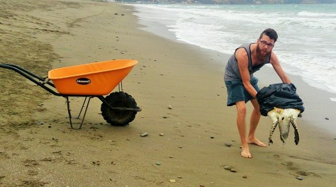 Volunteering highlights: Helping a turtle to its bed because it's DEFINITELY JUST SLEEPING KIDS