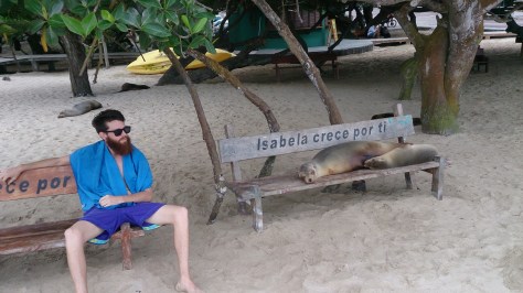 Public benches aren't just for humans