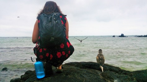 Mon and a boobie just contemplating life