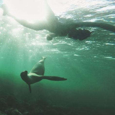 Courtesy of www.mumwearefine.com again. It was definitely worth bringing those two.