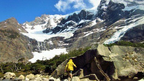 LEG MUSCLES SHMEG SHMUSCLES